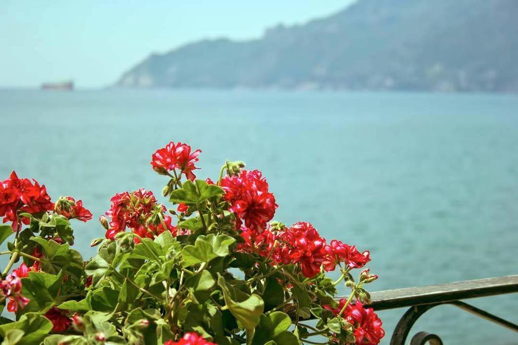 B&B Fronte Del Mare Salerno Exteriér fotografie